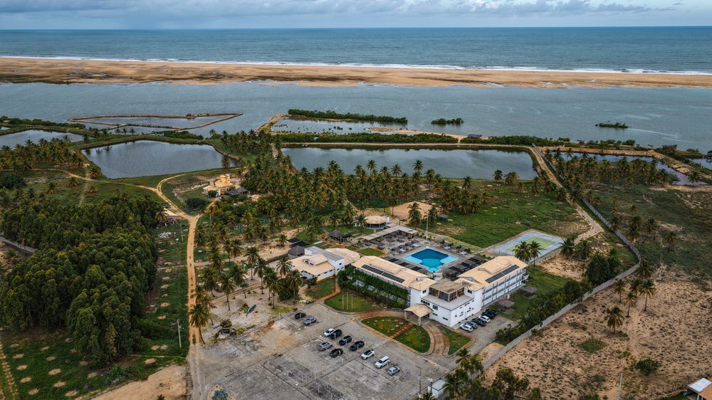 Vista aérea da área de piscina cercada de coqueiros